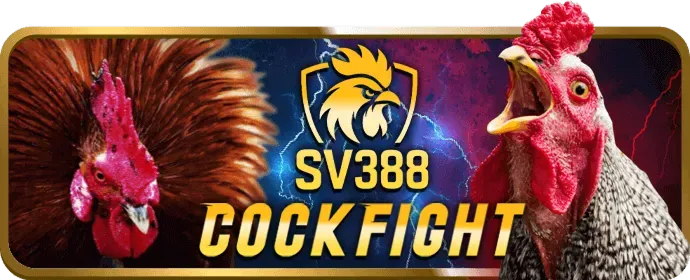 Khuyến Mãi Sự Kiện Đặc Biệt VN86